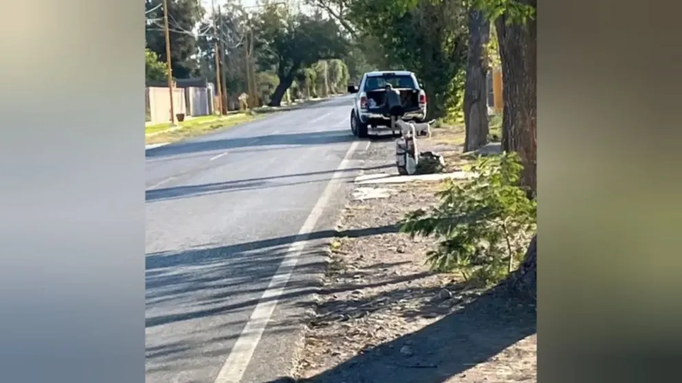 Buscan que se impute por maltrato animal al joven que abandonó a sus perros en Santa Lucía