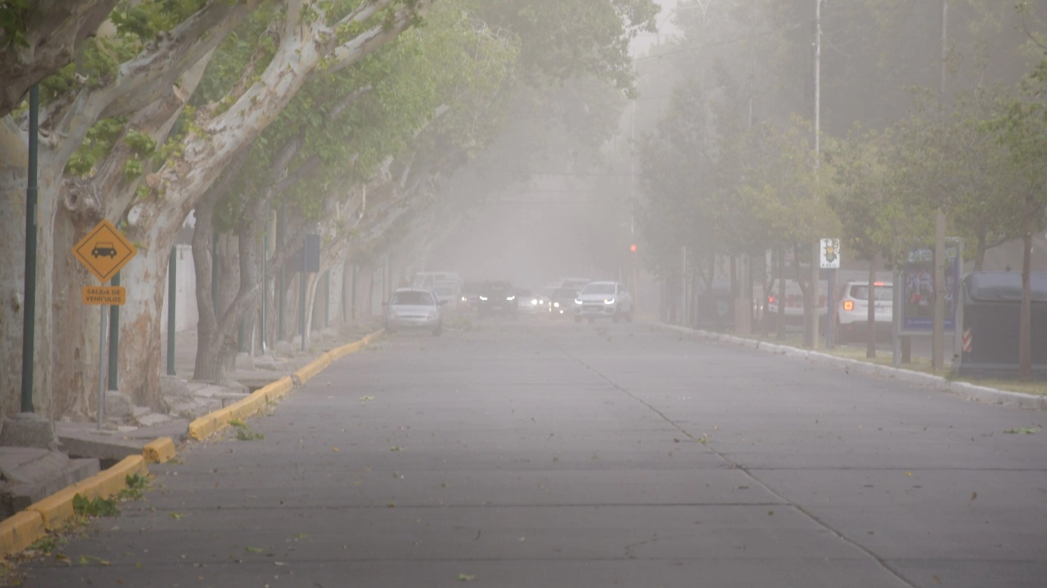 Viento sur todo el día y fuerte descenso de temperatura: pronóstico del tiempo de este viernes en San Juan