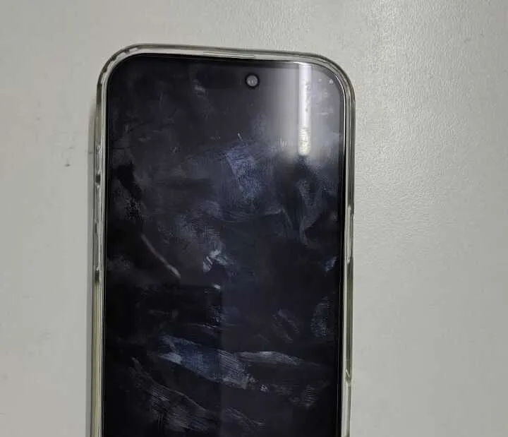 Detuvieron a un joven de 18 años en Chimbas por robarle el celular a un ciclista