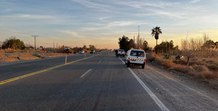 Cinco personas resultaron heridas tras chocar contra un caballo en la Ruta 40