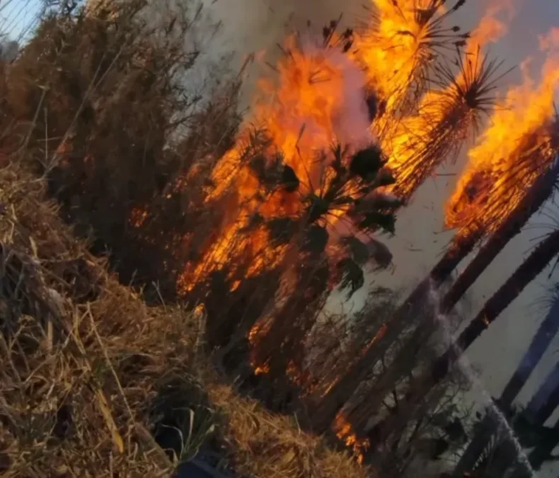 Dos incendios movilizaron a bomberos y Protección Civil en Rawson y Pocito