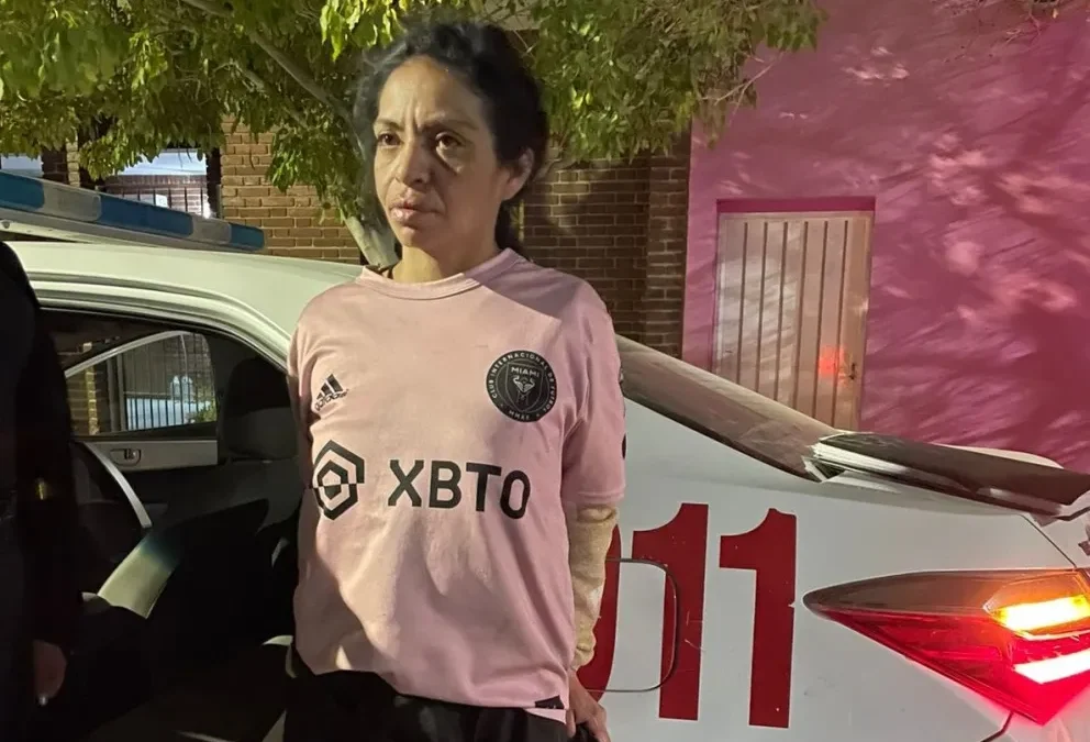 Detuvieron a una mujer por un robo en un comercio de Villa Krause